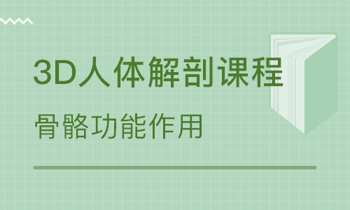 3D人体解剖私人健身教练培训课程