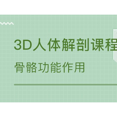 3D人体解剖私人健身教练培训课程