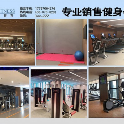 美国Life Fitness力健进口划船机家用水阻划船器GX