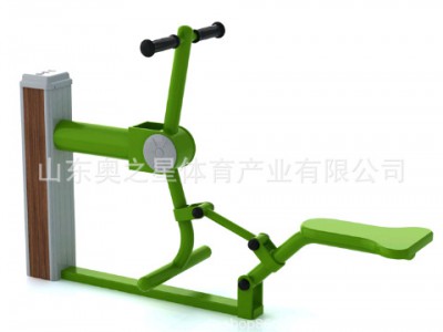 济南专业生产体育器材厂家 健身器材公园小区健身路径大转轮